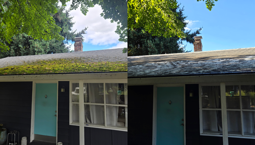 Before and after roof moss removal